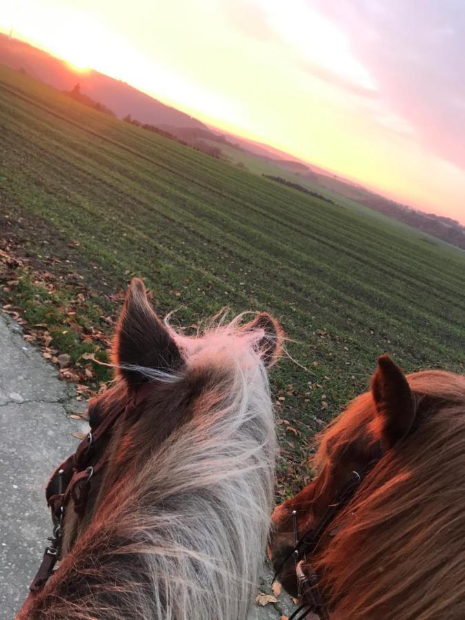 Landhof - Tierische Auszeit In Unseren Gemuetlichen *