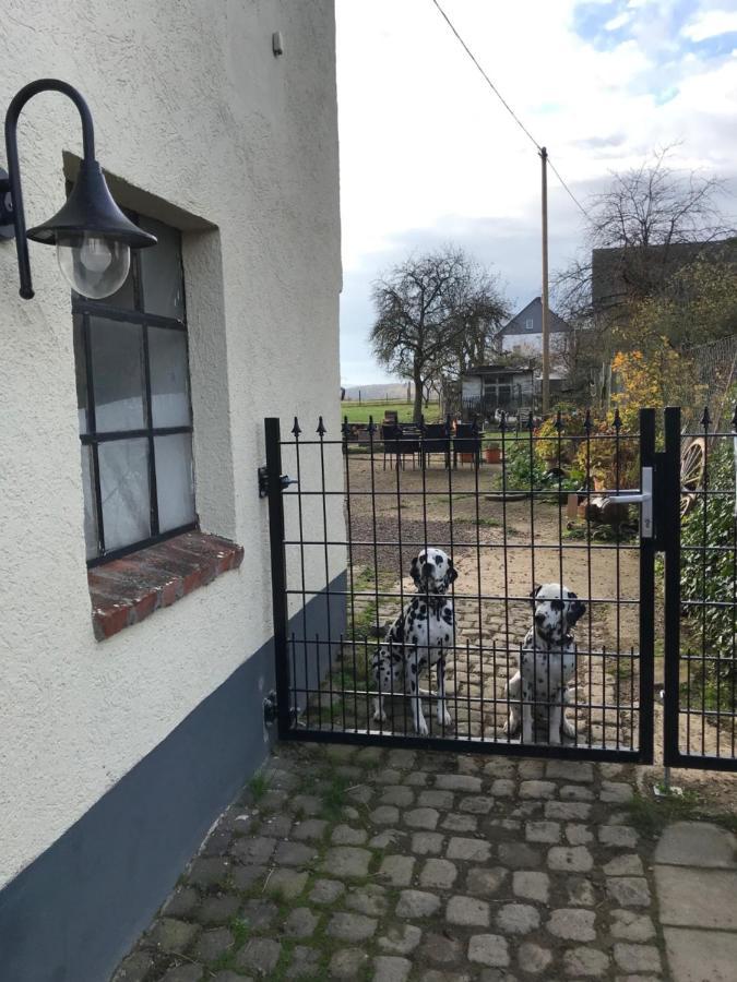Appartement Landhof - Tierische Auszeit In Unseren Gemuetlichen