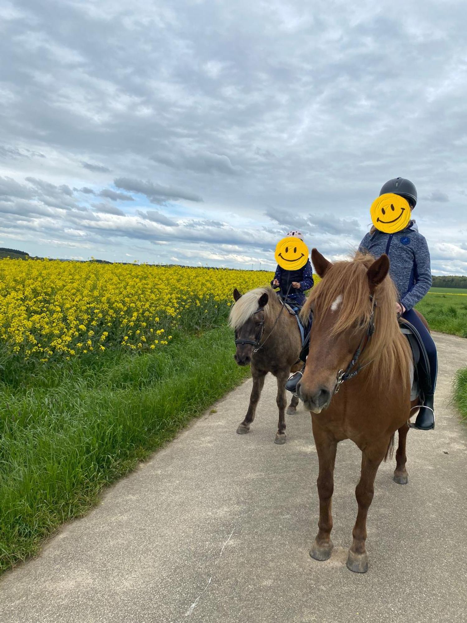Landhof - Tierische Auszeit In Unseren Gemuetlichen * Lieg